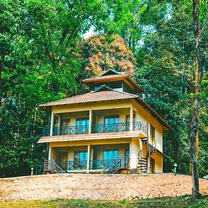 Vythiri Wild Forest Resort